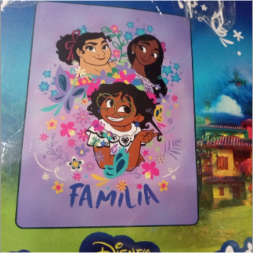 Disney Encanto Familia Twin Raschel Blanket NWT - Picture 3 of 4